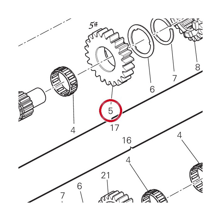 Engrenage conducteur 5Eme — réf. 17213381B | Ducati Store
