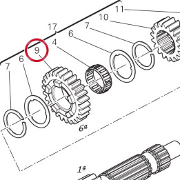 Engrenage menant 6Me — réf. 17213391B | Ducati Store