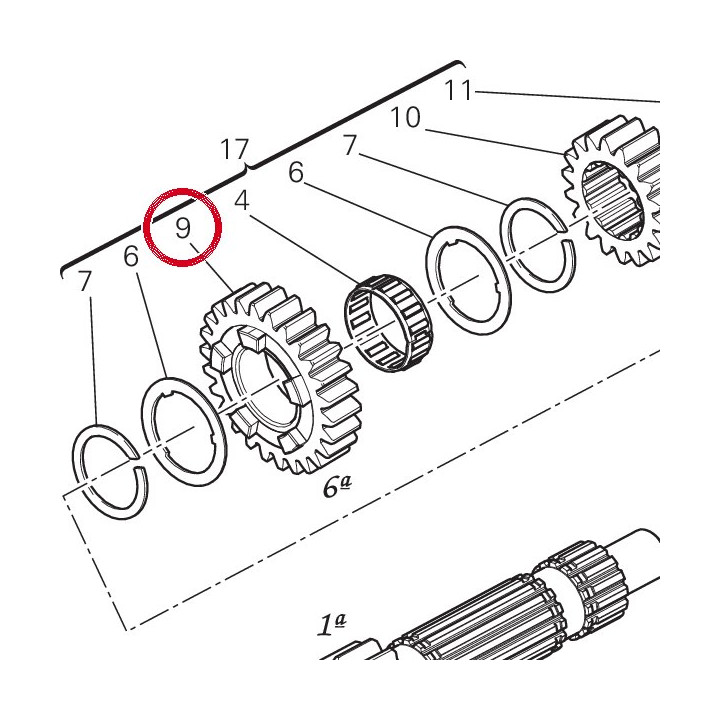 Engrenage menant 6Me — réf. 17213391B | Ducati Store