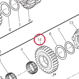 Engrenage entraine 3Me — réf. 17214501A | Ducati Store