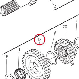 Engrenage entraine 1Ere — réf. 17214481A | Ducati Store