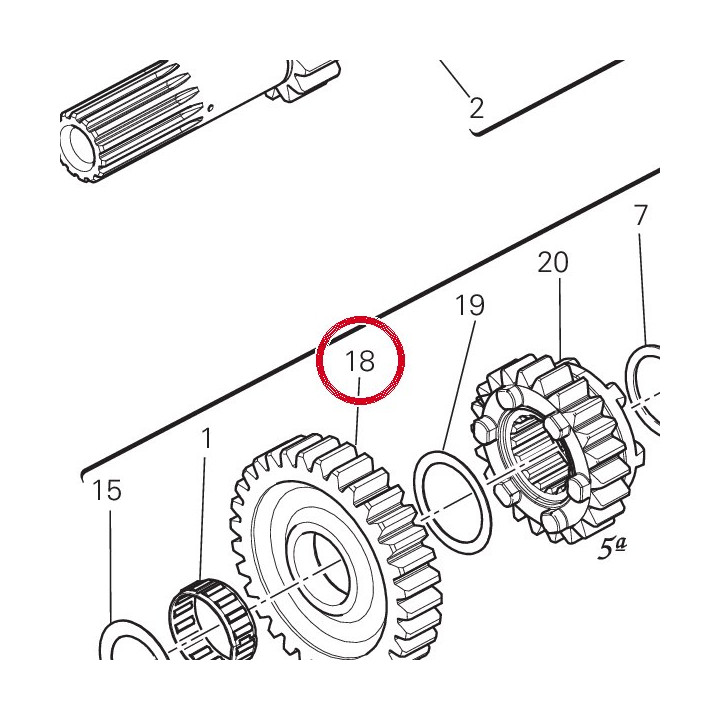 Engrenage entraine 1Ere — réf. 17214481A | Ducati Store
