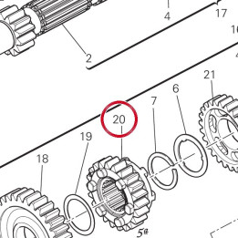 Engrenage entraine 5Me — réf. 17214491A | Ducati Store