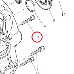 Vis special 77916041D — réf. 77916041D | Ducati Store