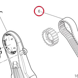 Courroie dentee commande — réf. 73740241B | Ducati Store