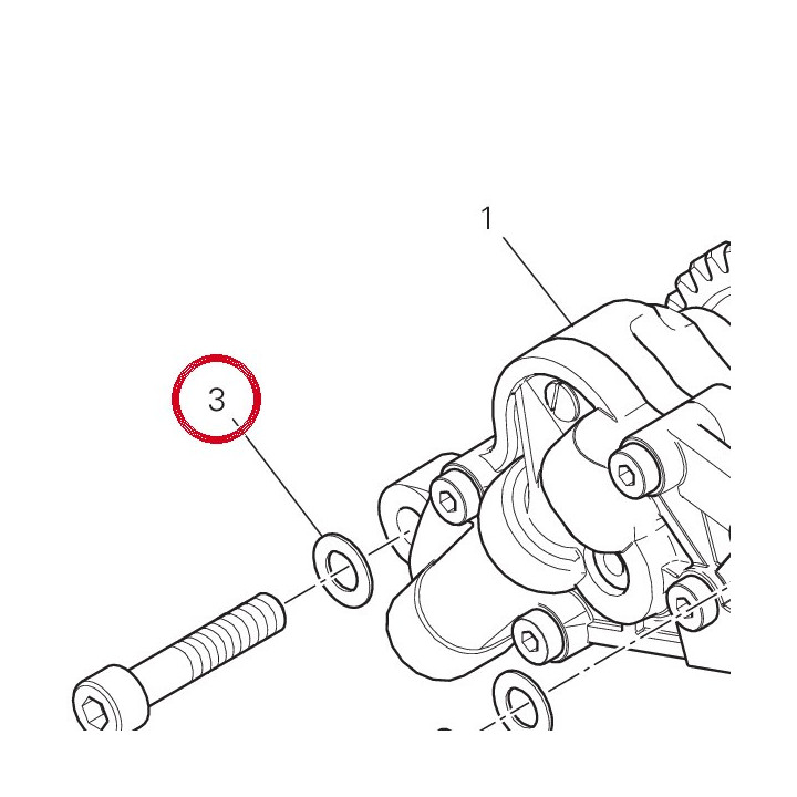 Rondelle elastique 8 mm — réf. 85310021A | Ducati Store