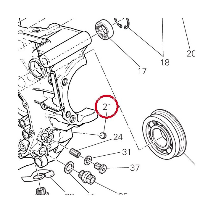 Vis sans tête filetée M10X1 — réf. 77950621A | Ducati Store