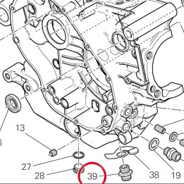 Vis, raccord filtre huile — réf. 81510281A | Ducati Store