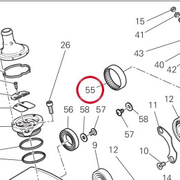 Douille à aiguilles — réf. 70242211A | Ducati Store