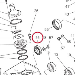Roulement à billes 70250412A — réf. 70250412A | Ducati Store