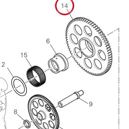 Engrenage entraine — réf. 17310291A | Ducati Store