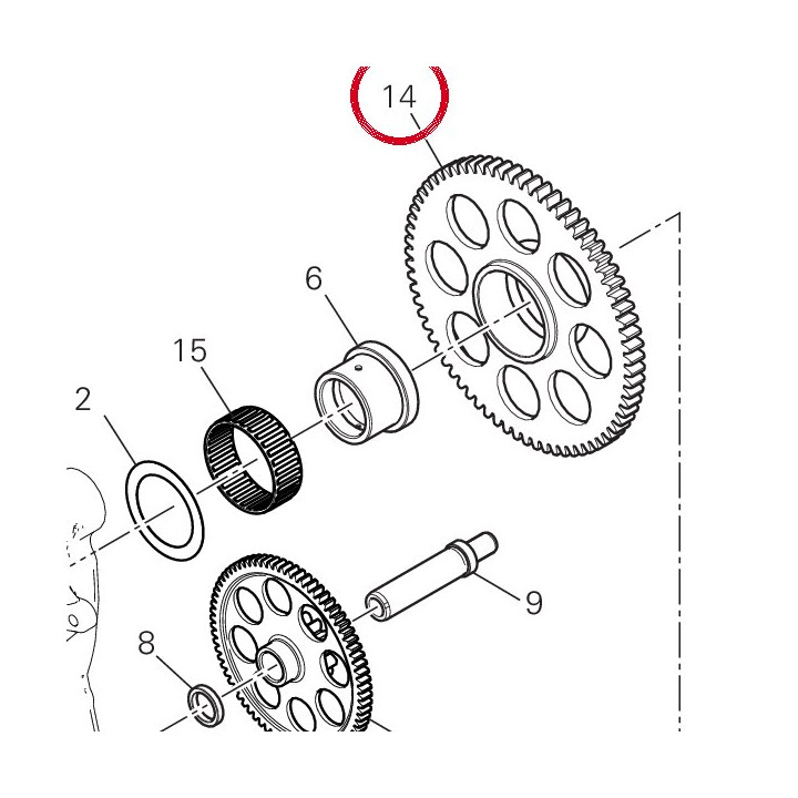 Engrenage entraine — réf. 17310291A | Ducati Store