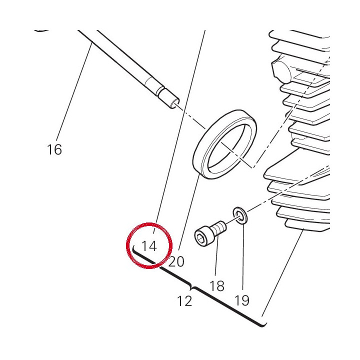 Siège soupape admission — réf. 30410901AC | Ducati Store