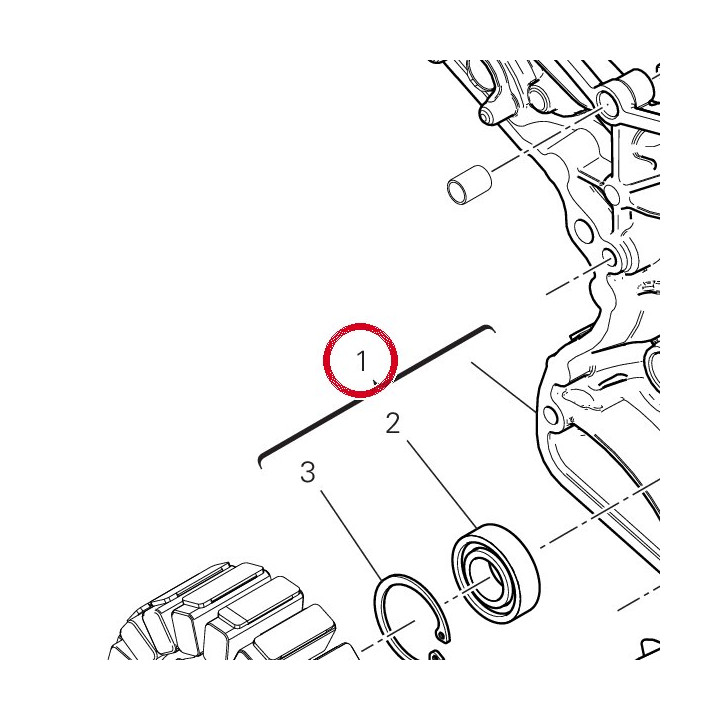 Couvercle generateur — réf. 24221611AY | Ducati Store