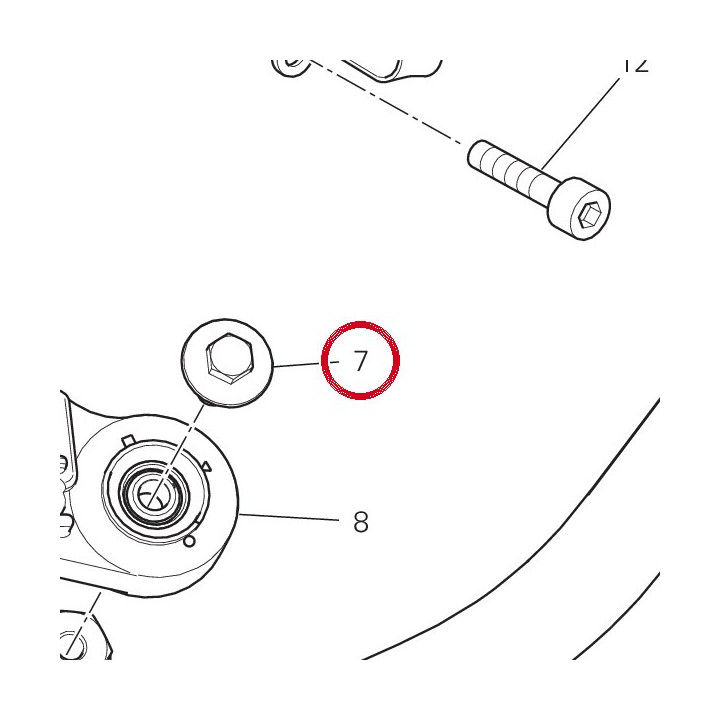 Vis 77917241AA — réf. 77917241AC | Ducati Store