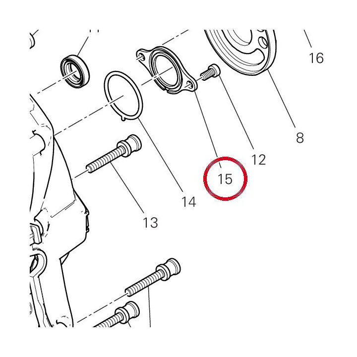 Rizoma timing check cover — réf. 24718481A | Ducati Store