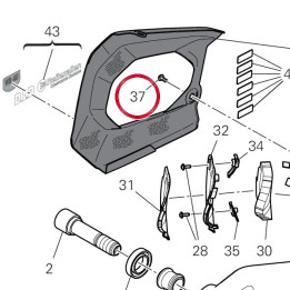 Vis tbeif M8X16 77240583C — réf. 77240583C | Ducati Store