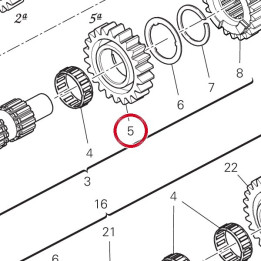 Engrenage menant 5Me — réf. 17214961B | Ducati Store