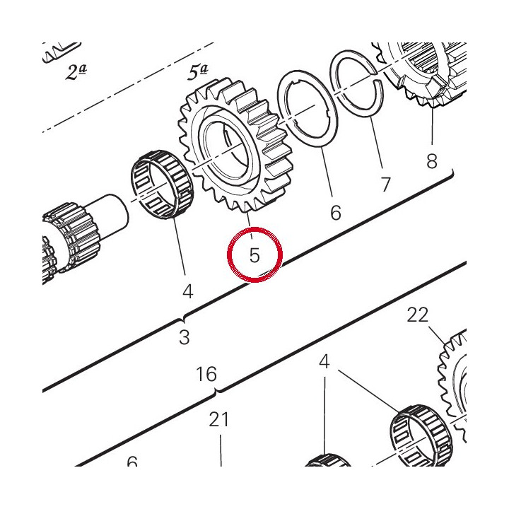 Engrenage menant 5Me — réf. 17214961B | Ducati Store