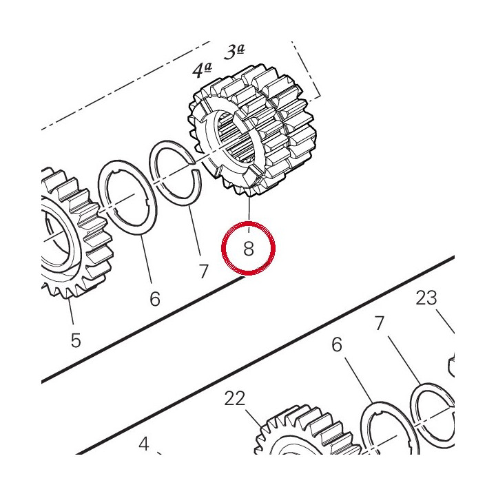 Engrenage menant 3/4Me — réf. 17214951B | Ducati Store
