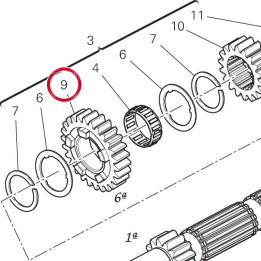 Engrenage menant 6Me — réf. 17214971B | Ducati Store