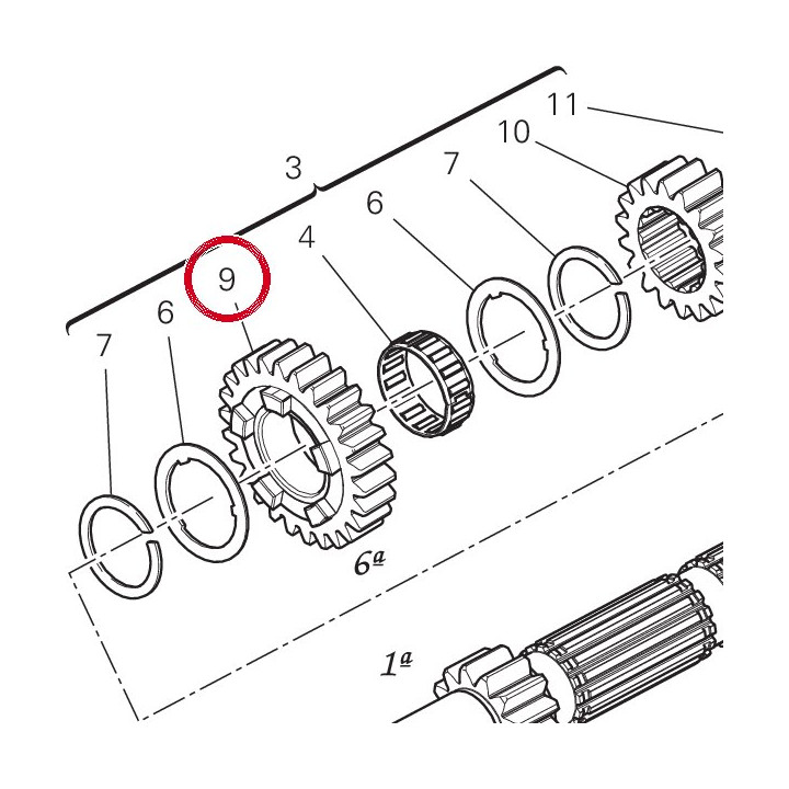 Engrenage menant 6Me — réf. 17214971B | Ducati Store