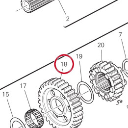 Engrenage entraine 1Ere — réf. 17212182A | Ducati Store