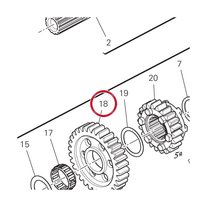 Engrenage entraine 1Ere — réf. 17212182A | Ducati Store