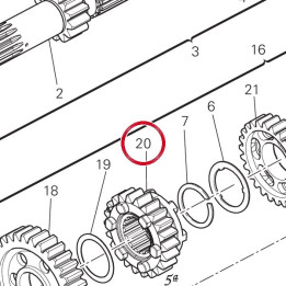 Engrenage entraine 5Me — réf. 17210103C | Ducati Store