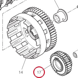 Pignon transmission — réf. 17021361A | Ducati Store