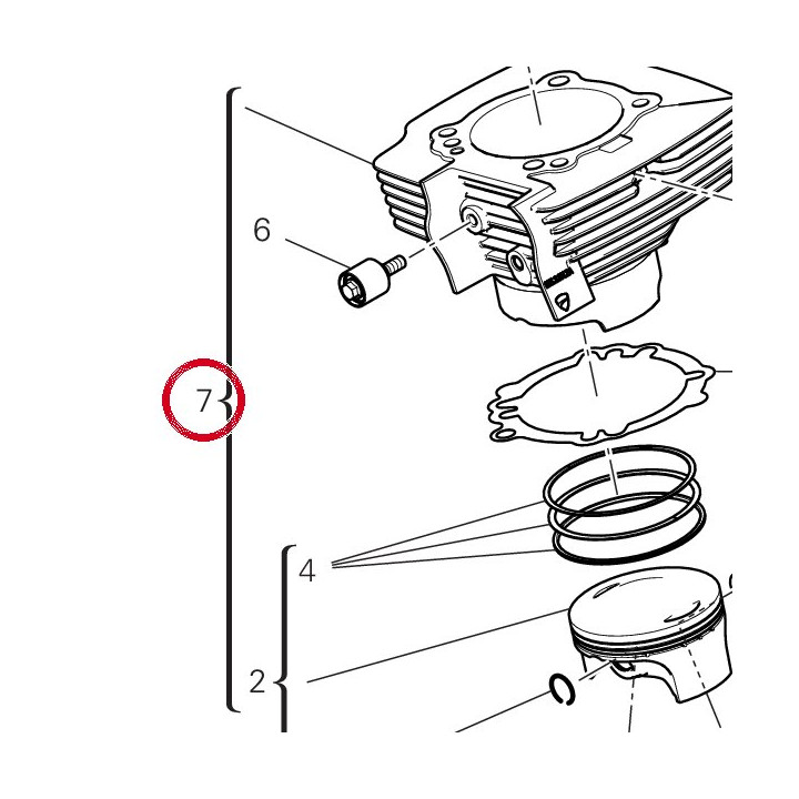 Couplage cylindre piston — réf. 12022771D | Ducati Store