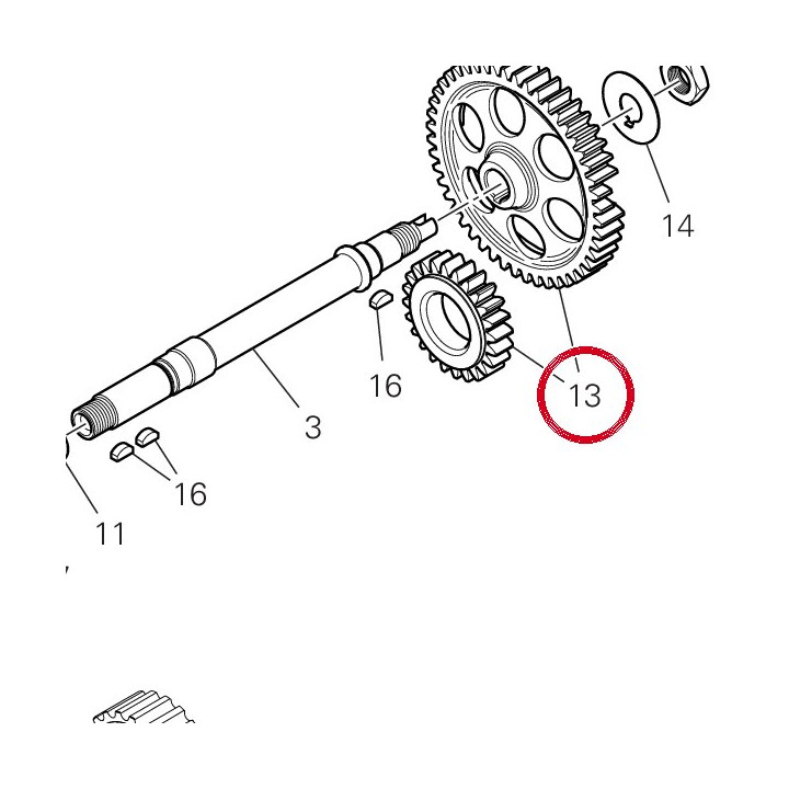 Engranages distribution — réf. 17122421A | Ducati Store