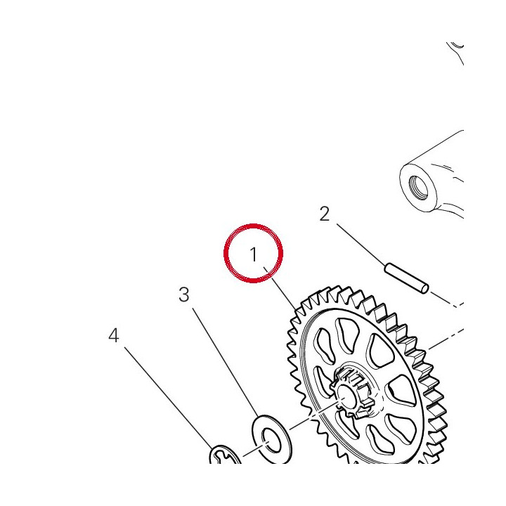 Engranage menant pompe — réf. 17410621B | Ducati Store