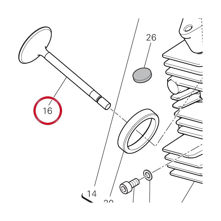 Soupape dechappement — réf. 21111181A | Ducati Store