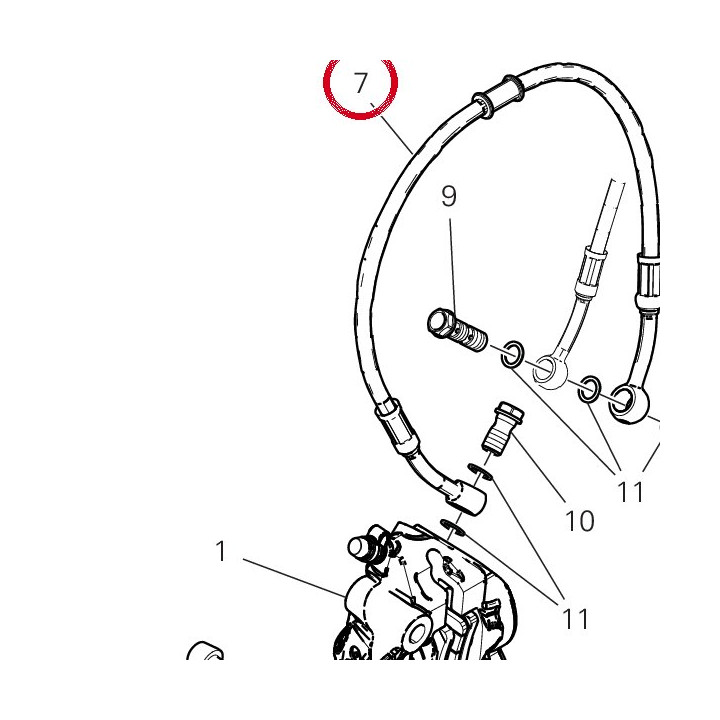 Tuyau frein avant — réf. 61812241A | Ducati Store