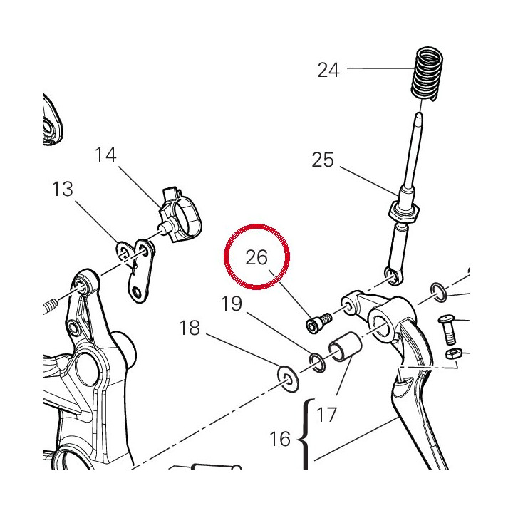 Pivot 82113811AA — réf. 82113811AA | Ducati Store
