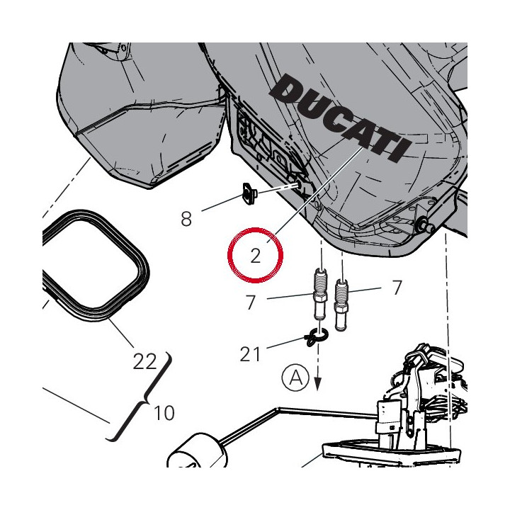 Decalcomanie Ducati noir — réf. 43818151C | Ducati Store