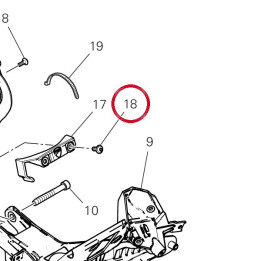 Vis tbei 6X14 77214031A — réf. 77214031A | Ducati Store