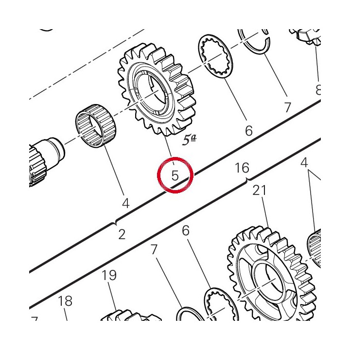 Engrenage menant 5Me — réf. 17216321A | Ducati Store