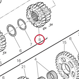 Engrenage menant 3/4Me — réf. 17216311A | Ducati Store