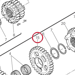 Engrenage entraine 3Me — réf. 17216361A | Ducati Store