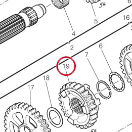 Engrenage entraine 5Me — réf. 17216381A | Ducati Store