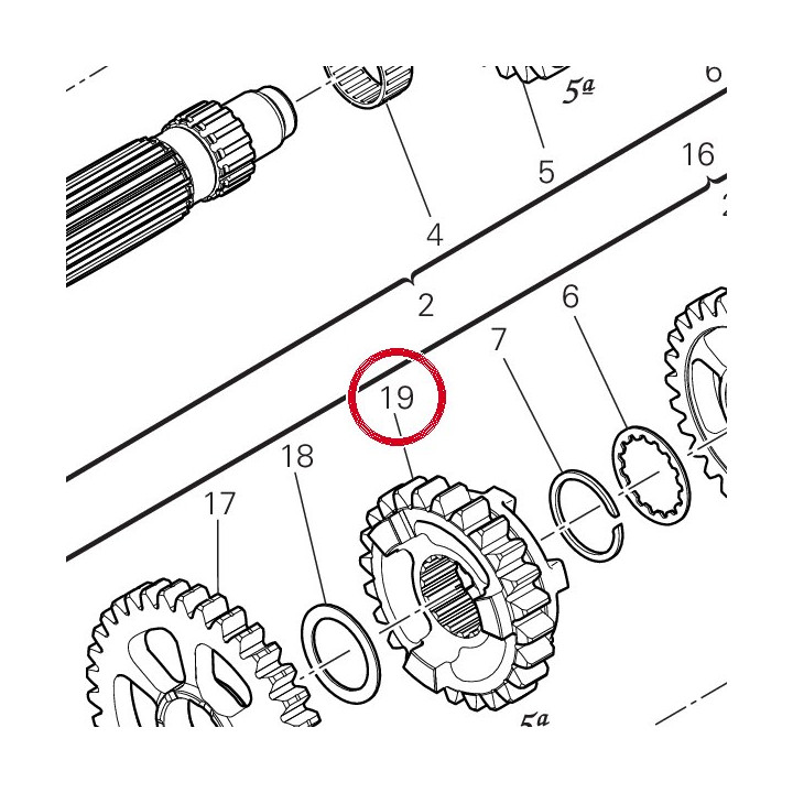 Engrenage entraine 5Me — réf. 17216381A | Ducati Store
