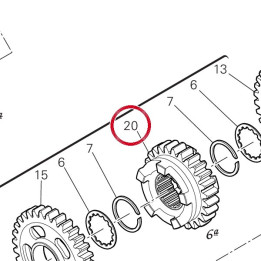 Engrenage entraine 6Me — réf. 17216391A | Ducati Store