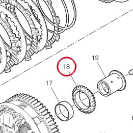 Pignon chaîne pompe à huile — réf. 44911551A | Ducati Store