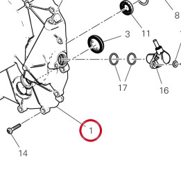 Couvercle embrayage — réf. 24311732B5 | Ducati Store