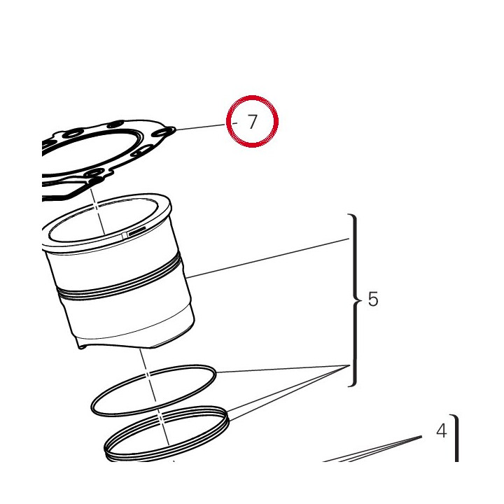 Joint coulasse 78611731A — réf. 78611731A | Ducati Store