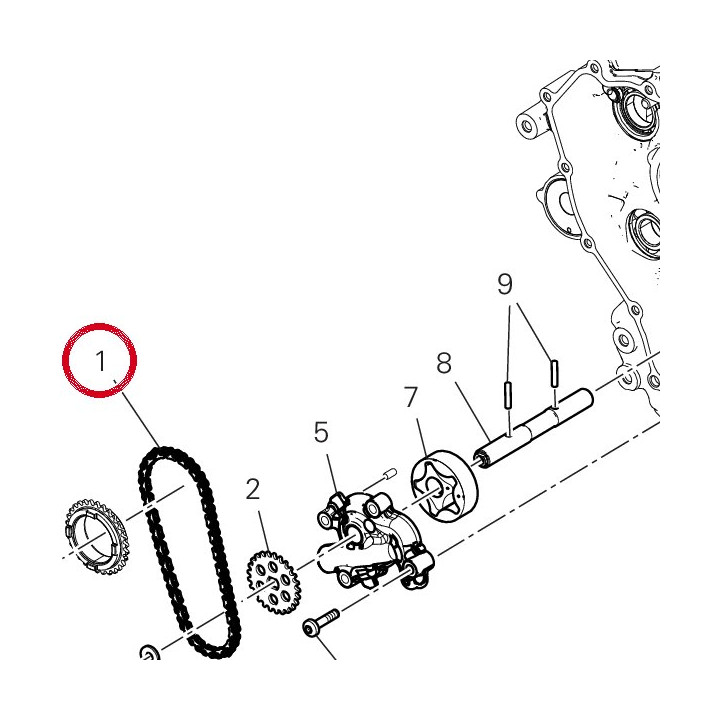 Chaine 67641351A — réf. 67641351A | Ducati Store