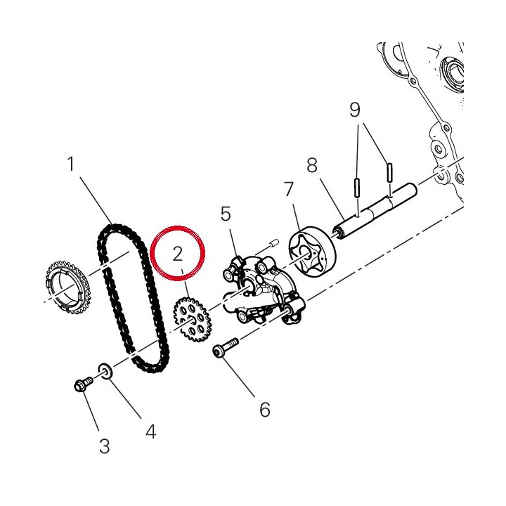 Engranage conduit pumpe — réf. 44911571A | Ducati Store