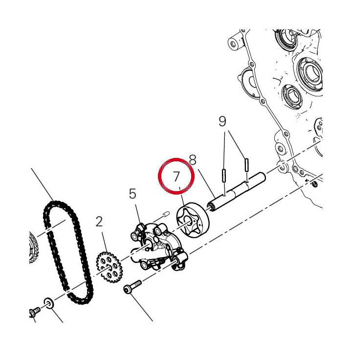 Pompe ╖ huile refoulement — réf. 17420862A | Ducati Store